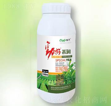 �蝙-�|������