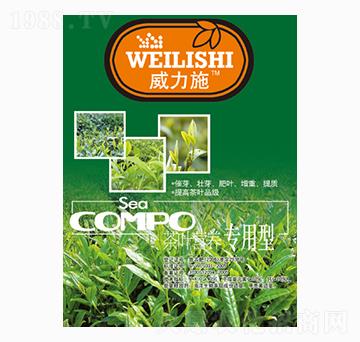 ���~������-����ʩ