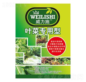 �~�ˌ�����-����ʩ