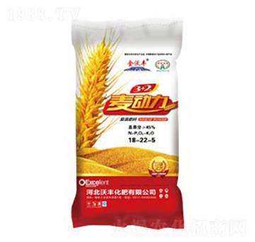 ��(f��)�����18-22-5-������-���S����