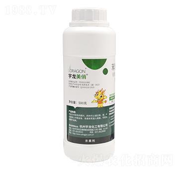 500g���Ѽ׭h(hu��n)��-��������-��������