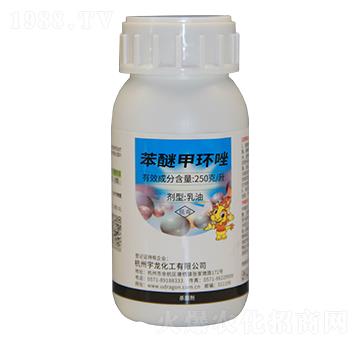 250��ÿ�����Ѽ׭h(hu��n)��-��������