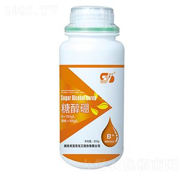 �Ǵ���-���|����