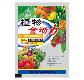 ֲ�����(d��ng)��-���|����