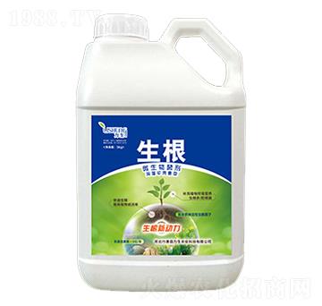 ����ך�����-������-��������