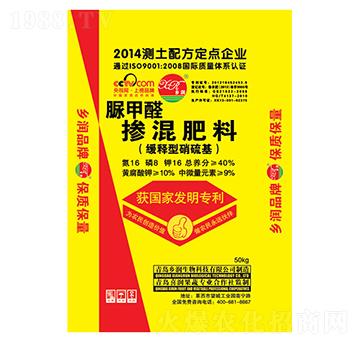 �������������ȩ����