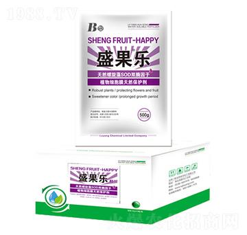 ʢ����-�G��