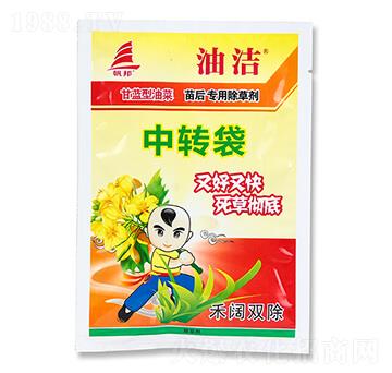 ���{���Ͳ�����ó��݄�-�͝�-ϲ�S��