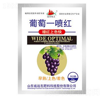 ����һ���t-�h�|����