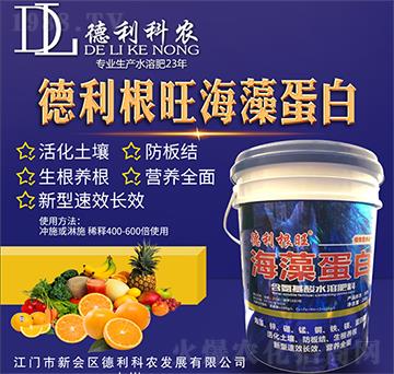 �����������嵰��-�������r(n��ng)