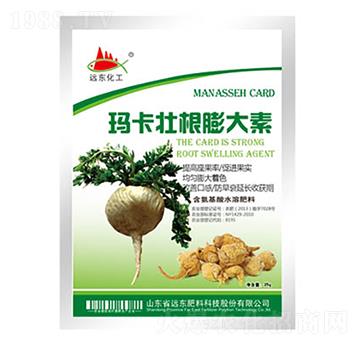 �����Ѹ������-�h�|����