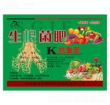 ��������-�h�|����