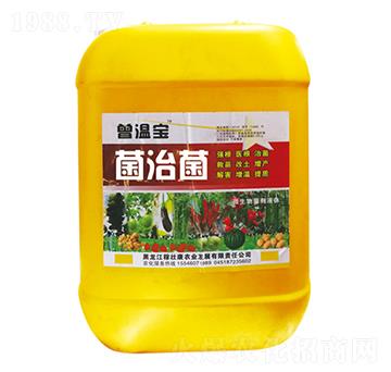 ���ξ���EM����-���،�-����