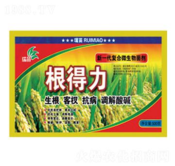 ��(f��)��΢�������-������-����