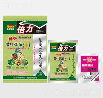 ��Ч�S�~����1+1-��