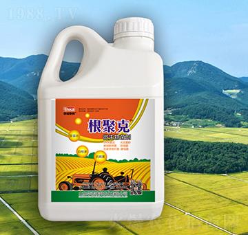 ���ۿ�΢�������-�A�Z(li��n)��