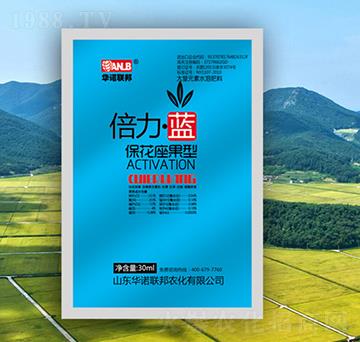 �������{(l��n)�����������ͣ�