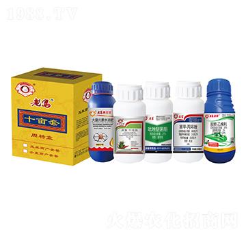 ����һ����Ч�ײͣ�ʮ��