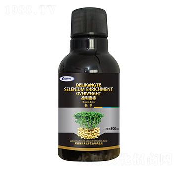 �������þ۹Ȱ������ϑB(t��i)�����أ�-��������-������ķ