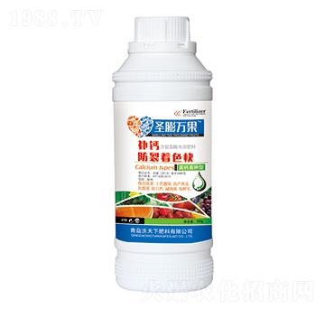 �a�}������ɫ��-ʥ���f��-������