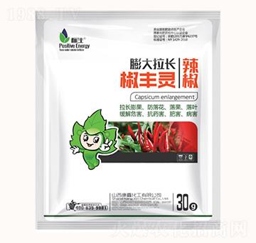 ����������L���S�`-���λ���