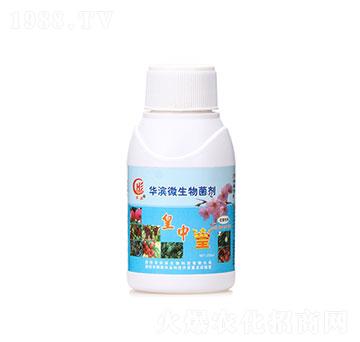 200ml���л�-�A�I