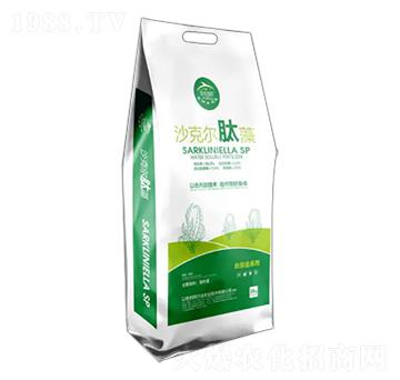 ɳ�ˠ�����-�������r(n��ng)�I(y��)