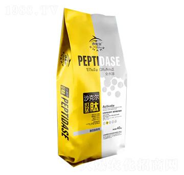 ɳ�ˠ��İ׽�-������-�������r(n��ng)�I(y��)