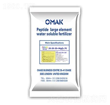 ���Ĵ���Ԫ��ˮ�ܷ�20-20-20+MgO+TE-�W����-���o