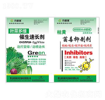 �~�˶�S�������L��+���S�������Ƅ�-�ɹܼ�-����