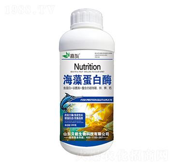 ���嵰��ø-ؐ������