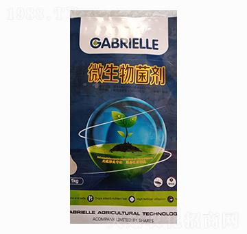 ΢�������-�����S