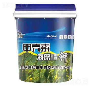 �ך��غ��徫�-�~����-��������