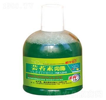 �|̦�؃��� �R������