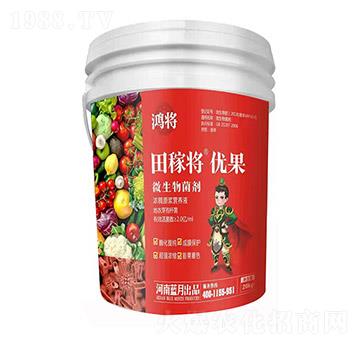 ΢������� ��ڌ���(y��u)�� ���� �{(l��n)���r(n��ng)��