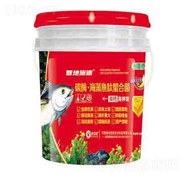 ̼ø�������~�����Ͼ� ����