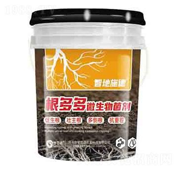 �����΢������� ����