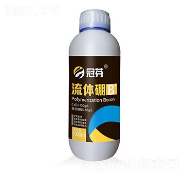 ���w�� �ڷ�