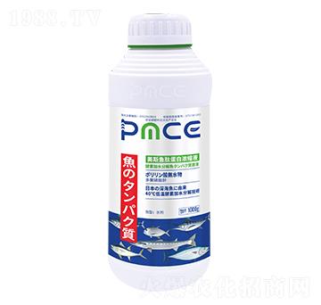 �~(y��)���׷� ����˹