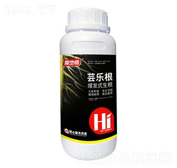 ���l(f��)ʽ���� �|��(l��)�� Ħ�؎�