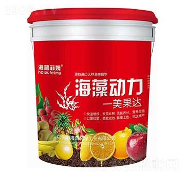 �����(d��ng)�� �����_(d��) ���ջ��W(xu��)