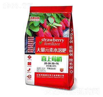 ƽ�����L�ʹ���Ԫ��ˮ�ܷ�20-20-20+TE ϲ��ݮ�� ���ջ��W