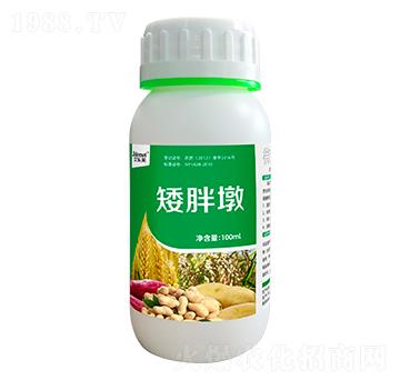 ֲ�����Lƽ�℩ ���ֶ� ������