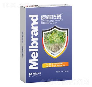 ��˪�ݰ� ������