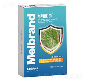 �а߃� ����(l��)��