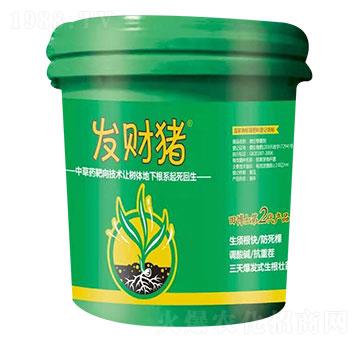 ΢������� �l(f��)ؔ�i �ﲩʿ