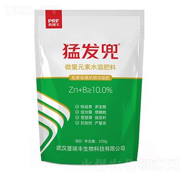 ȫˮ���Թ�� �Ͱl(f��)�� �����S