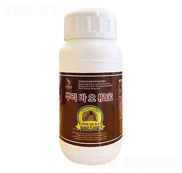 ���� ��ʿ������