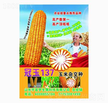 玉米雜交種 冠玉137 宇宙夢(mèng)生物