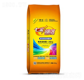 �ͺ�΢������� �߲ʲ��� �ϻ�